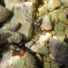 DSCN7842