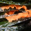 DSCN8067