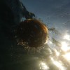 DSCN8251